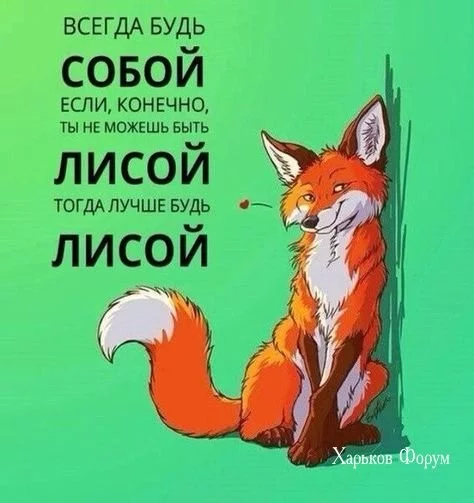 b8dc453cbf0da4af.webp