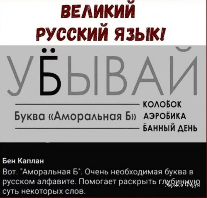 b8dcc60dcbf1fbc9c076537.webp