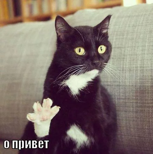b8eadc.webp