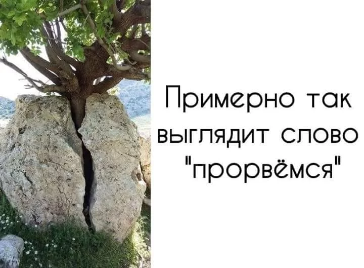b8eddj.webp