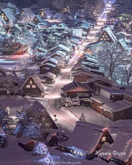 b8fafcc51c5605d74fb7.webp