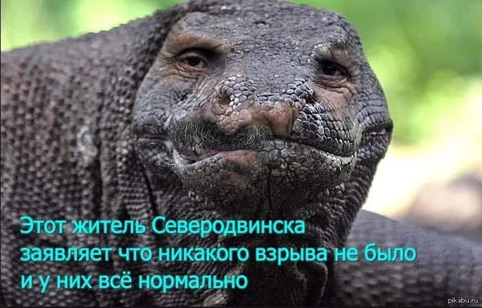 b8fgba.webp