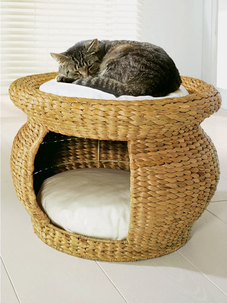 b8gbca.webp