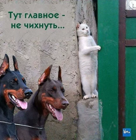 b8gfjj.webp