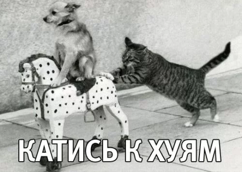 B8igHnNIYAAviGQ.webp