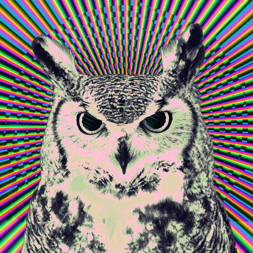 b8jehj.gif