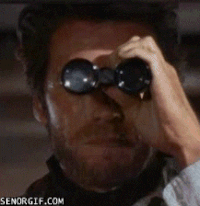 b92c1468438f46fc84b202.gif