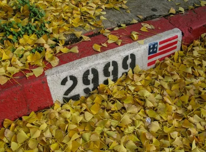 b92ef69f2b014cbfa6d5128a19626959.webp