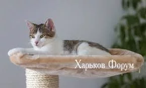 b936d1b4ef3512b74bf847.webp
