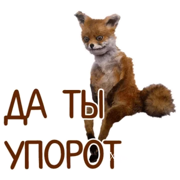 b94374d6c3b810eb.webp