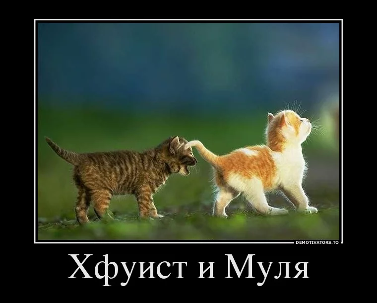 b94cb3c57cca1fbadcf30697eea8af09.webp