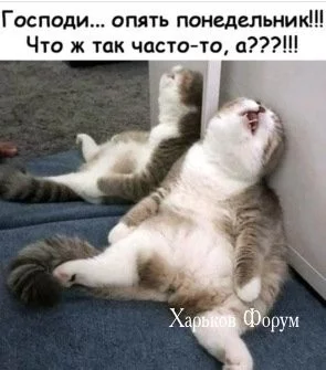 b955fa1a245e5be4.webp