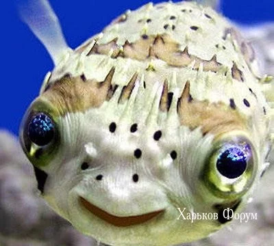 b95b0f65f0734e1bec.webp