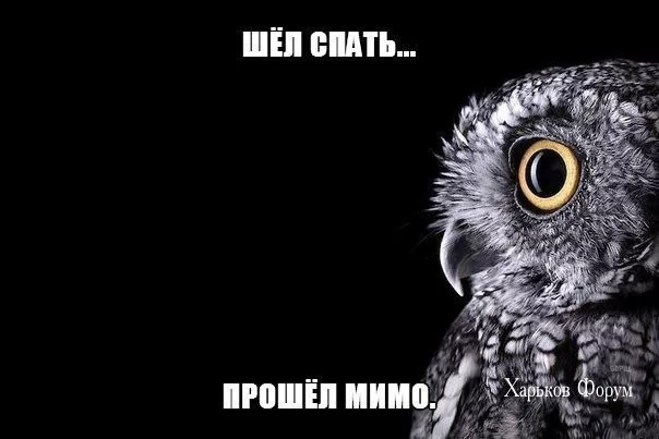 b9690ea697f94ce1fed757.webp
