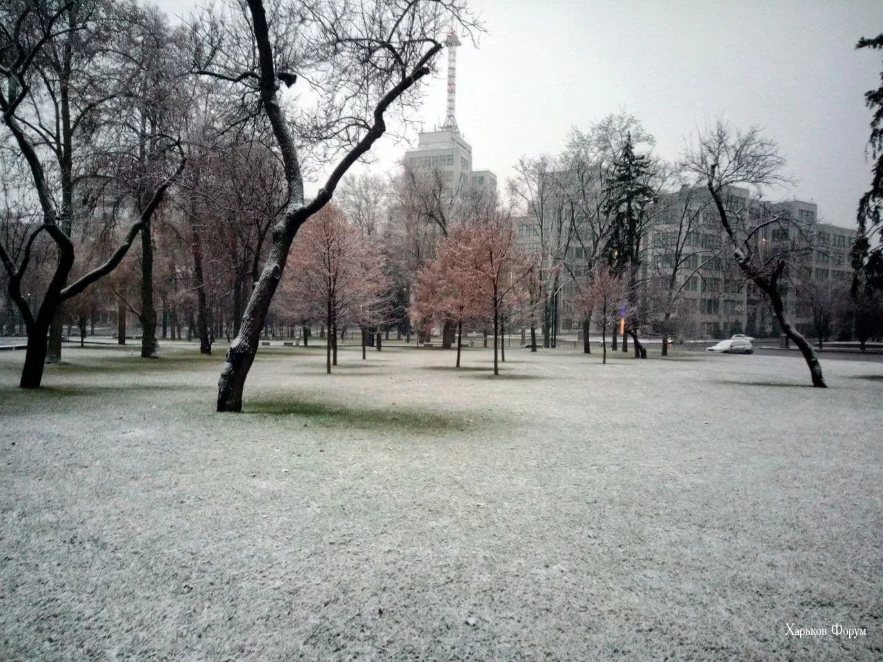 b96bccde733dc99e32.webp