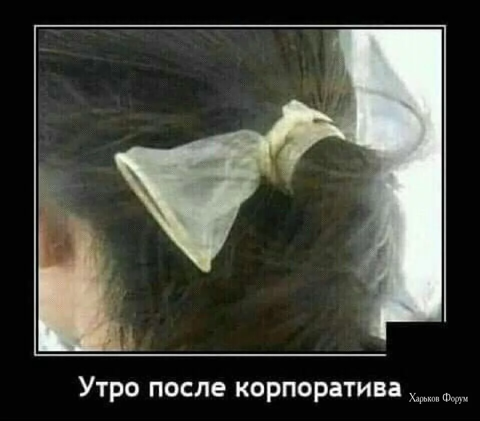 b9787b9b9b8db240b68fb.webp