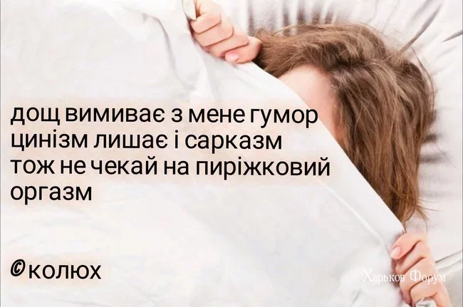 b97fc56178fd3b7ccb79.webp