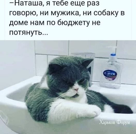 b98a7dd2b00d966ccb4.webp