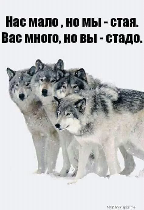 b9bahj.webp