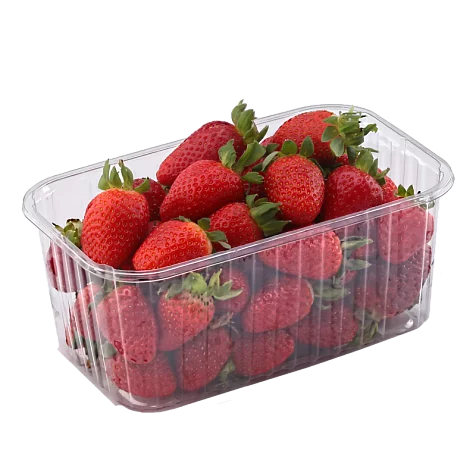 b9cce5bbff9f4dc300e9b.webp