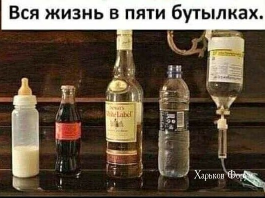 b9e4a0fa83085fd57f3288.jpg