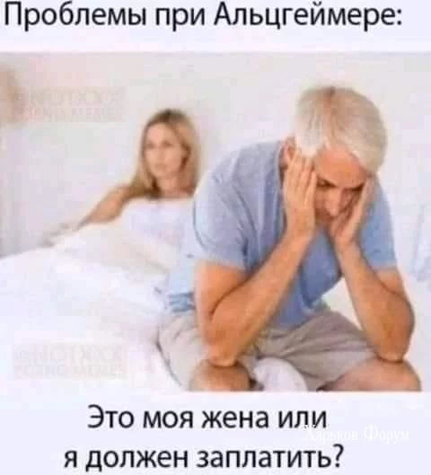 b9e4df80128bdc37404547aa.webp