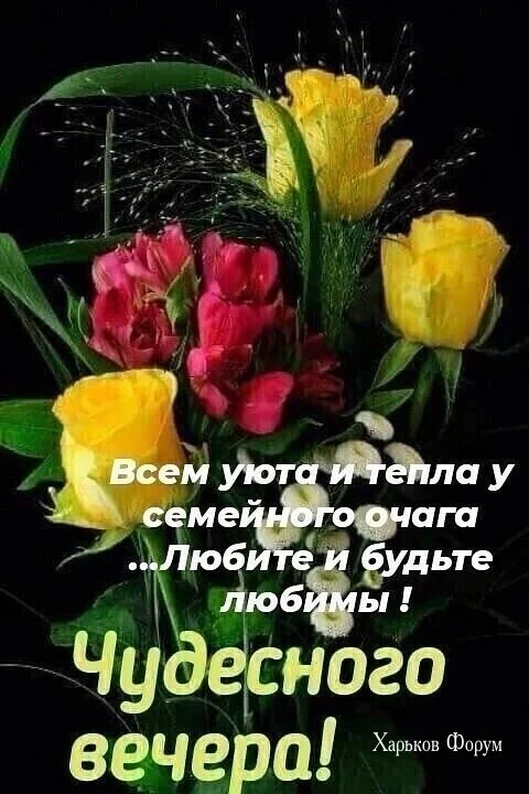 b9f4819d14d7536753acff5.webp