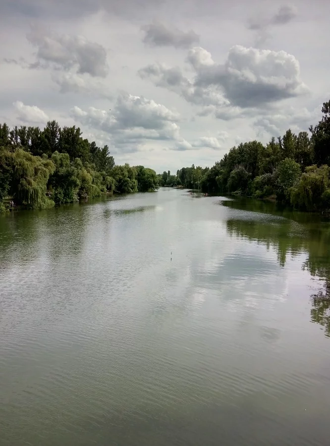 b9fjef.webp