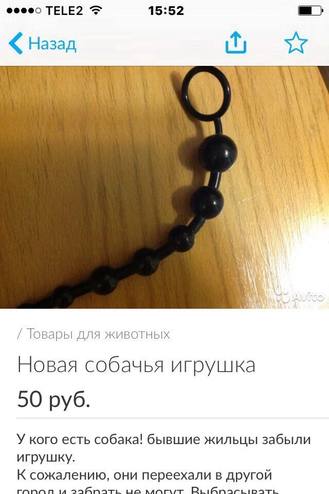 b9L31ndat08.webp