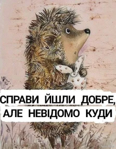 b_64Q7kNvgGFDIGf&_nc_zt=23&_nc_ht=scontent.fdnk1-4.webp