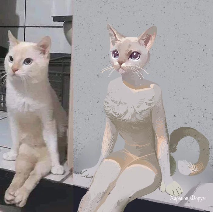 ba007f459ce6144dc0a.webp