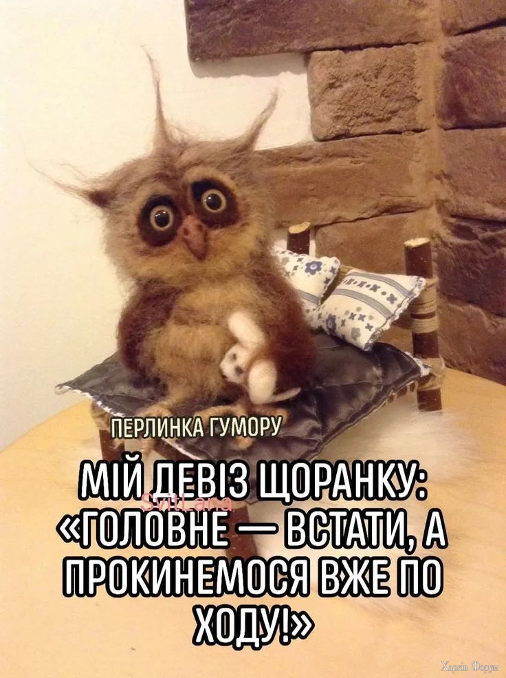 ba02a23b52a5388020c27aa5fb43c641.webp