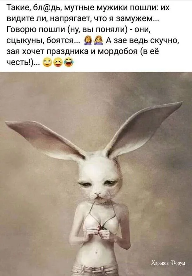 ba03ccb11c52aa91e648cfb.webp