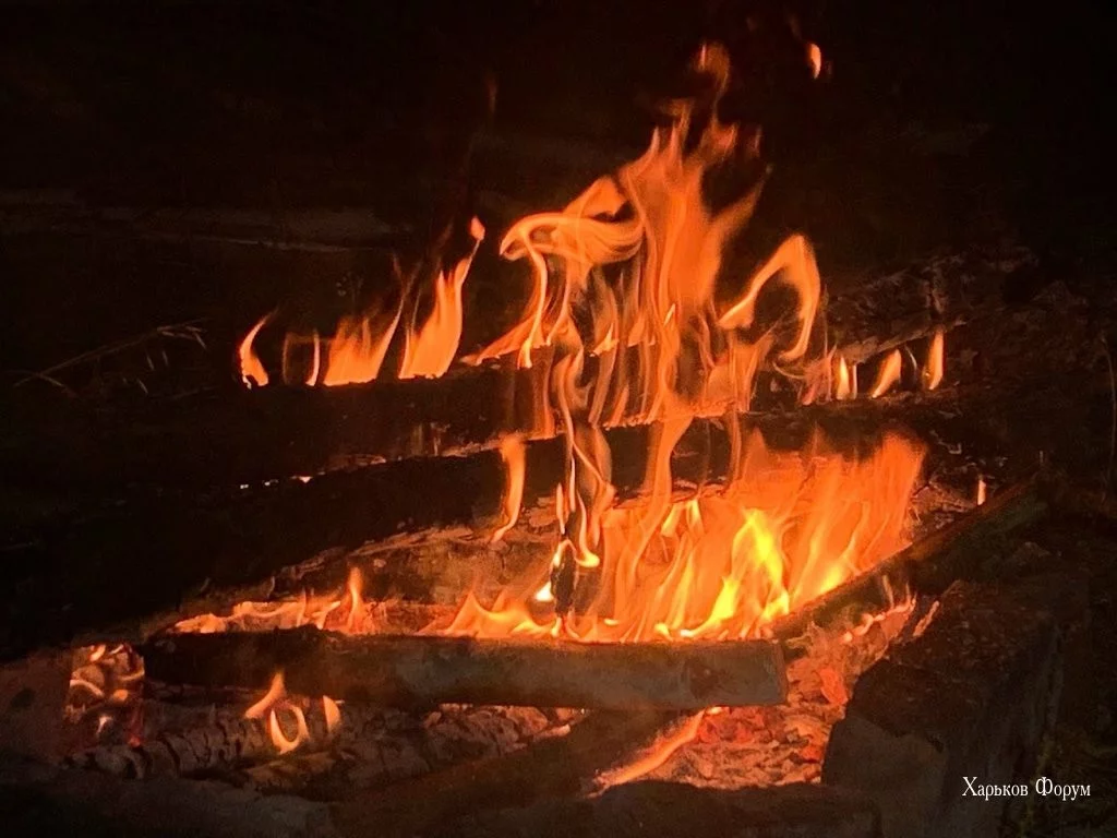ba1d3967e675ab9e.webp