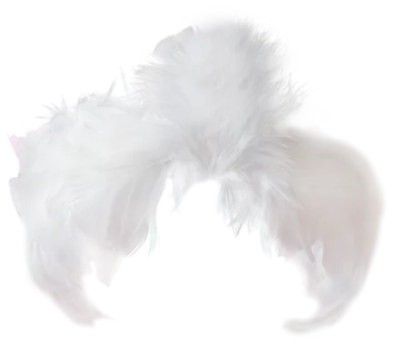 ba2d002d1372d5a398fa9fbd0f63a5b2.webp