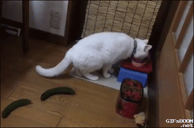 ba2jfe.gif