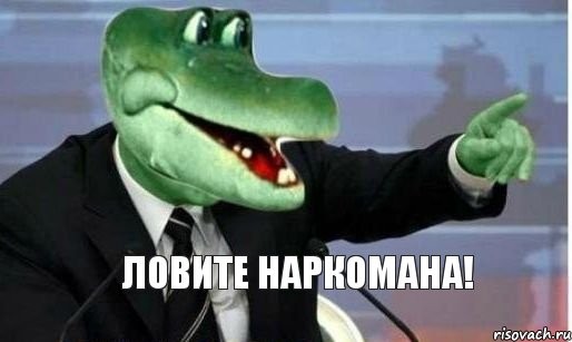 ba3aea.jpg