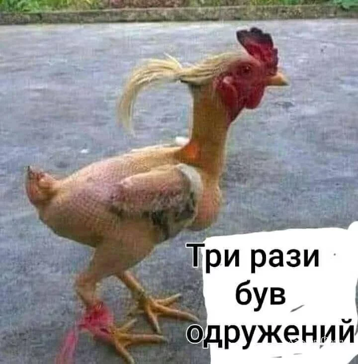 ba3eb45c01fed5df9f5298d.webp
