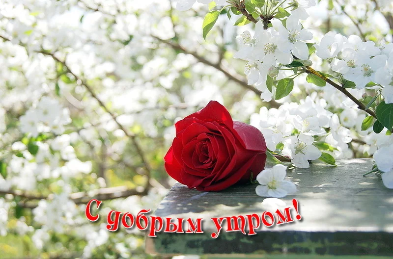 ba4ejb.webp