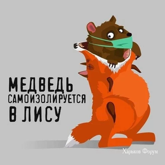 ba5ad93a1fbc531c.webp