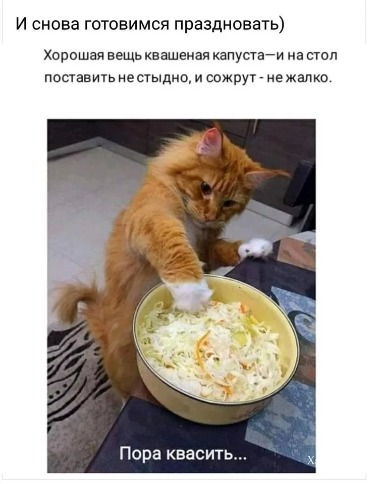 ba5e7ddb8dd98650d516.webp
