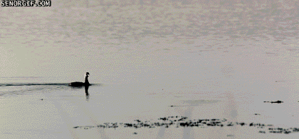 ba746249b9b9b7ab0091d5.gif