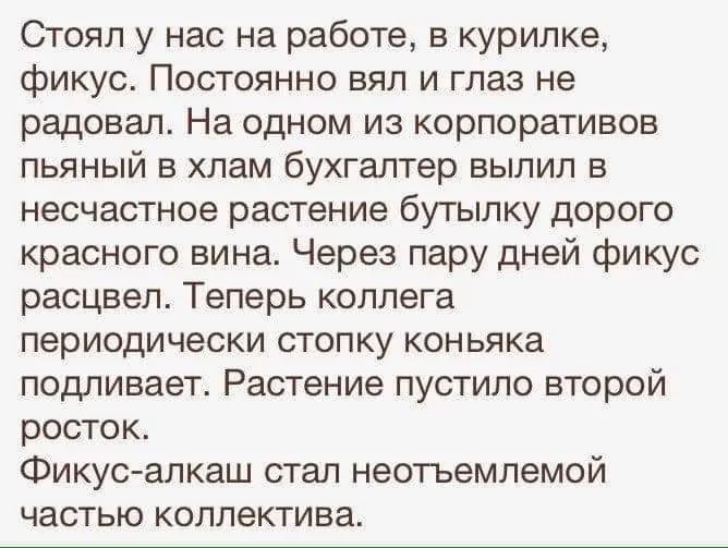ba9bfb.webp