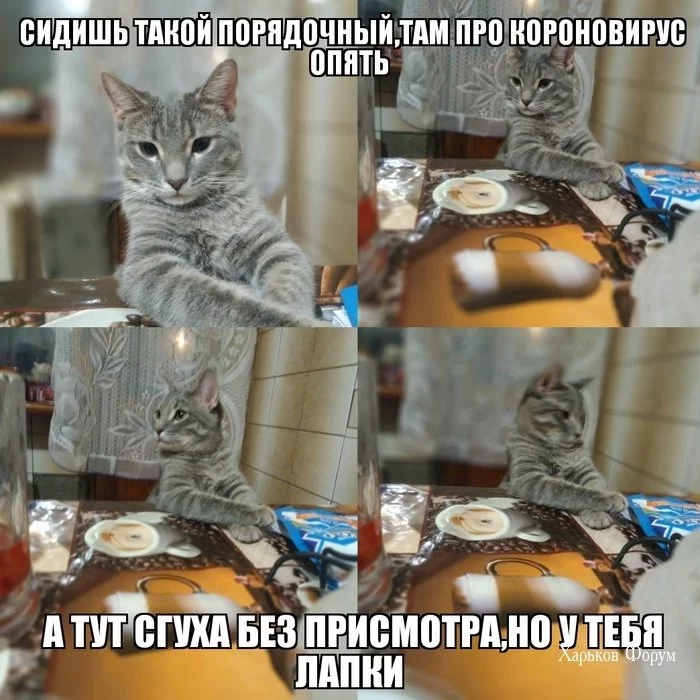 ba9bfdde7a03495e.webp