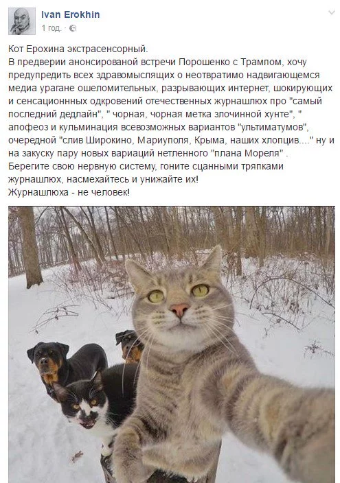 baag6j.webp