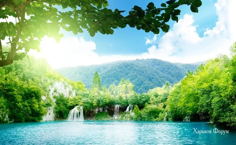 bab656b900220d6f7.webp