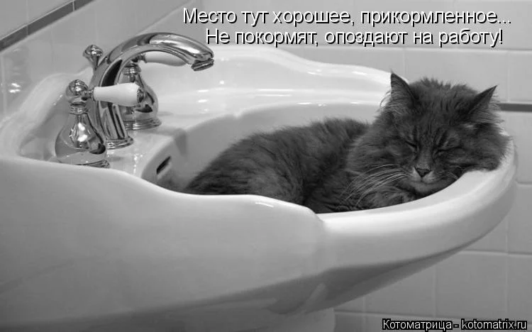 baba6e.webp