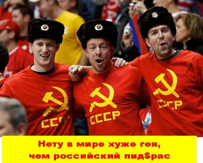 bacbe6.webp