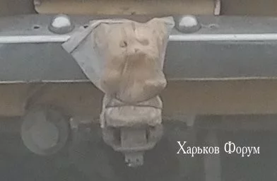 bacbf272269d9ef3.webp