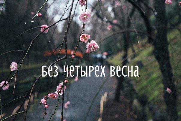 bacj8f.jpg